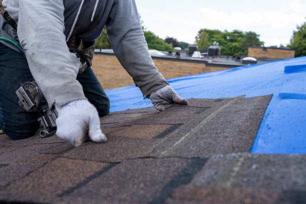 Best Flat Roof Repair Services  in Annandale, VA