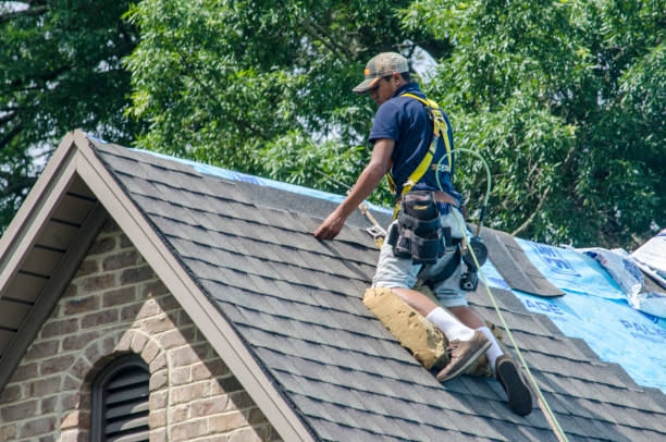 Best Residential Roof Replacement  in Annandale, VA