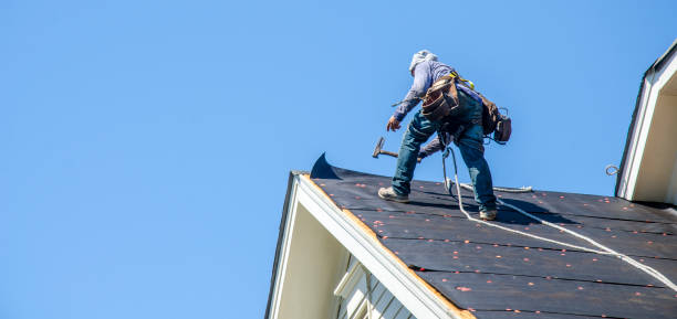 Roof Gutter Cleaning in Annandale, VA